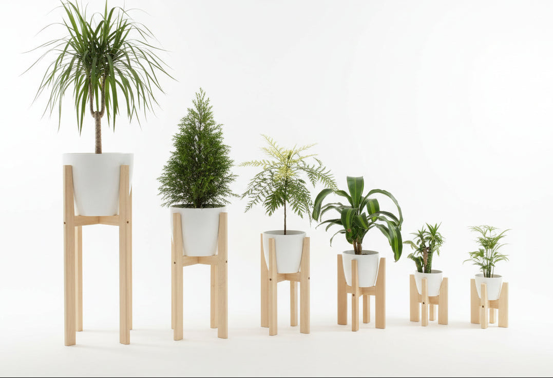 PORTAMACETERO PIE NORDICO