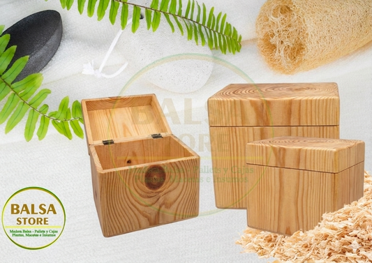 Caja de Secado o Curado