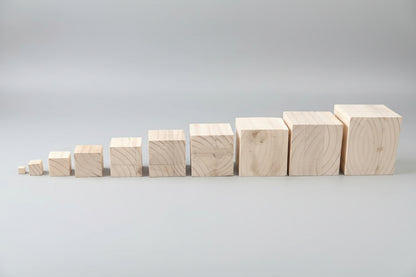 PACK MONTESSORI (BARRAS, BLOQUE Y CUBOS)