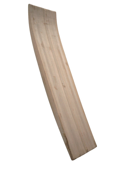 BLANKS SURF BOARD