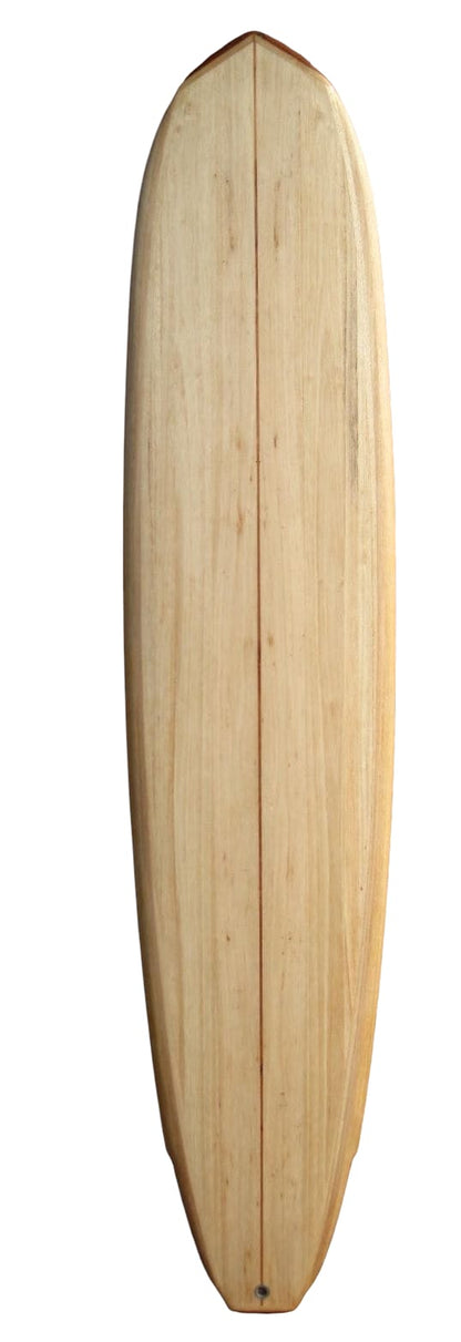 BLANKS SURF BOARD