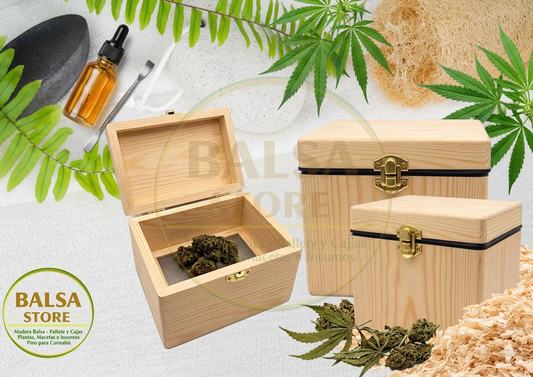 Caja de Secado o Curado